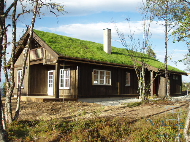 Log Home Windows - Country Style